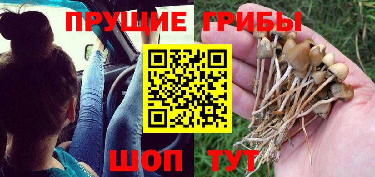 Alpha PVP Жуковский